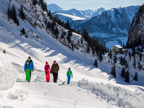 Familie mit Schneeschuhen unterwegs Richtung Stockhorn