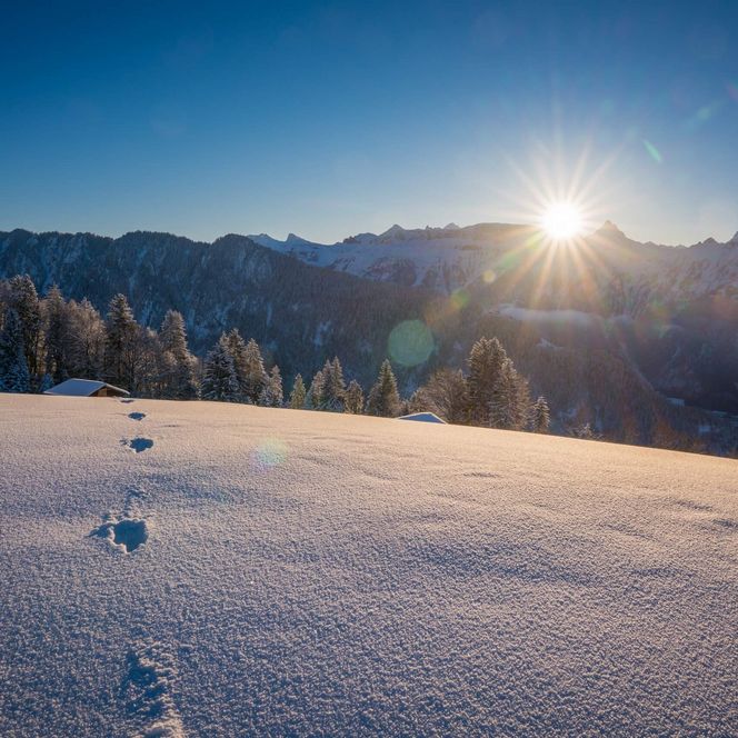 Sonnenaufgang in Beatenberg im Winter
