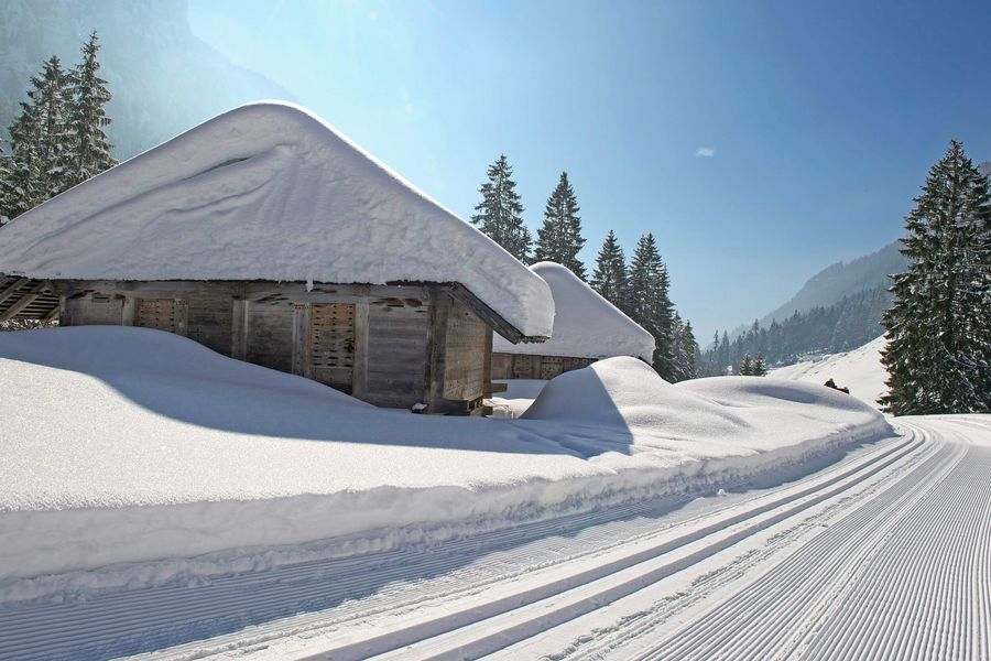 Loipe im verschneiten Justistal mit Alphütte und Tannen im Winter
