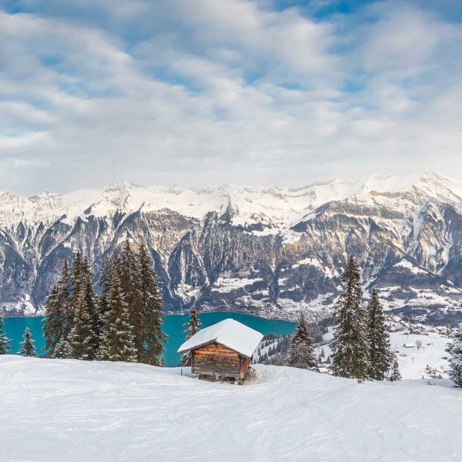 Sicht richtung Axalp, im Hintergrund der Brienzersee im Winter