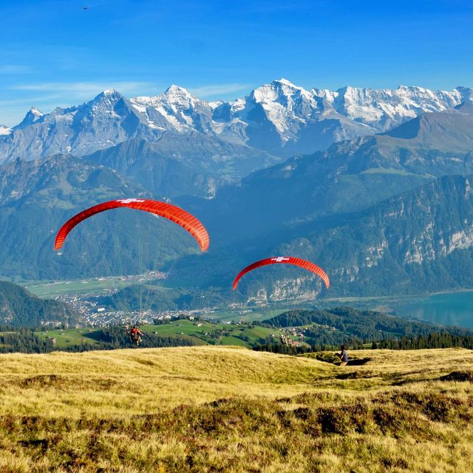 Paraglider nach dem Start in Beatenberg mit Sicht auf Eiger, Mönch und Jungfrau