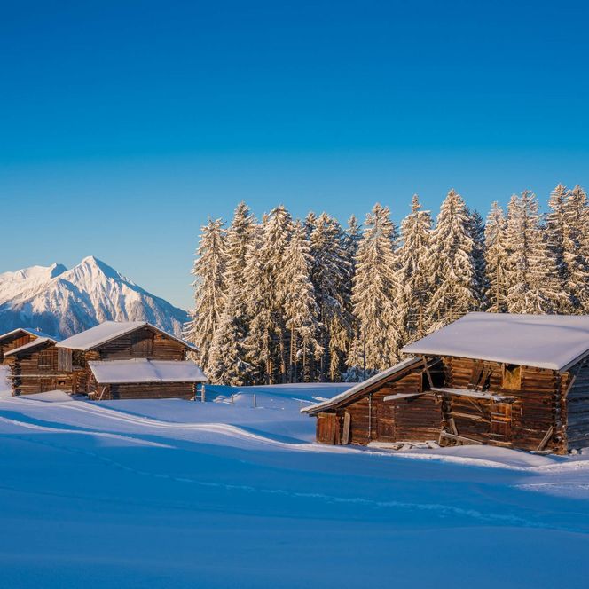 Verschneite Alplandschaft in Beatenberg mit Blick auf den Niesen