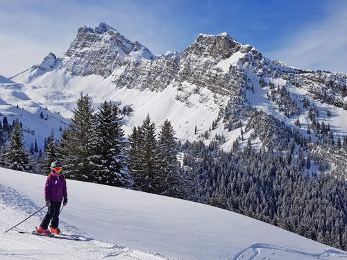 Skifahrer im verschneiten Naturpark Diemtigtal auf der Grimmialp