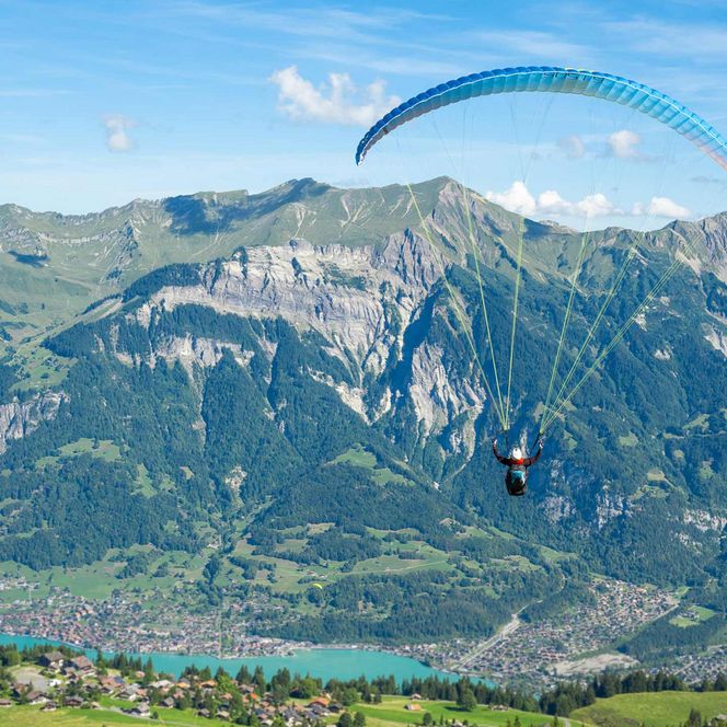 Paraglider gleiten von der Windegg her über die Axalp, im Hintergrund ist der Brienzergrat und Brienzersee zu sehen.