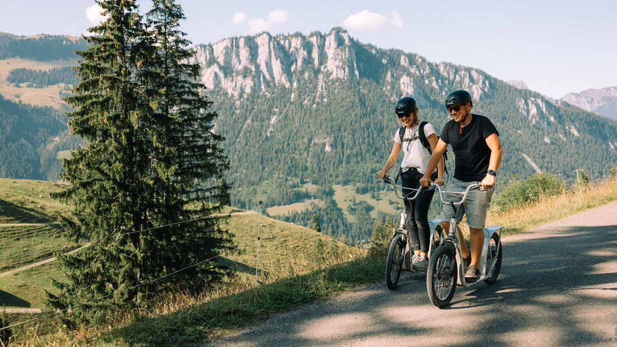 Fahrt ins Tal mit Trotti-Bikes am Wiriehorn im Diemtigtal