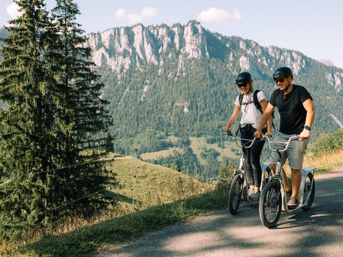 Fahrt ins Tal mit Trotti-Bikes am Wiriehorn im Diemtigtal