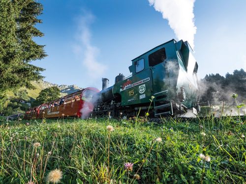 Brienz Rothorn Bahn dampfend unterwegs durch die grüne Alplandschaft