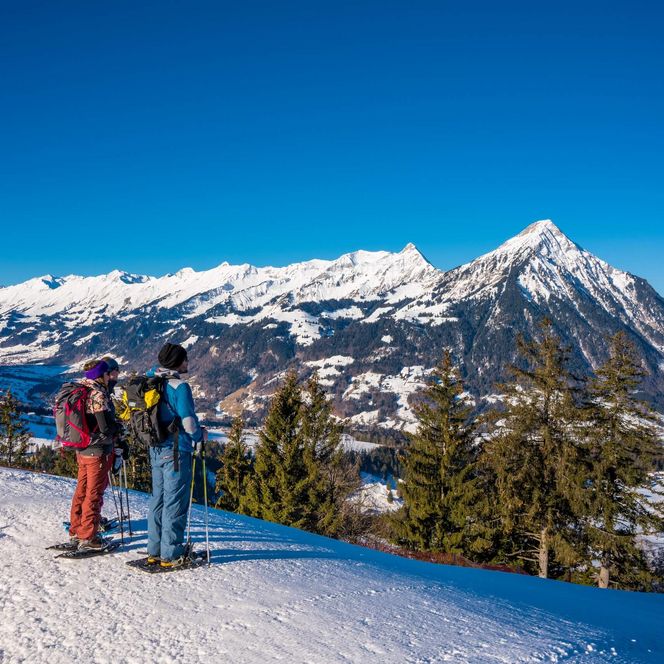 Zwei Frauen und ein Mann machen beim Schneeschuhlaufen in Aeschi eine Pause und geniessen die Aussicht auf den Niesen