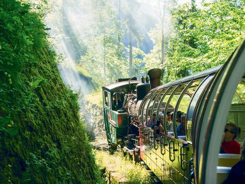 Dampfende Brienz Rothorn Bahn unterwegs durch den grünen Wald Richtung Brienzer Rothorn