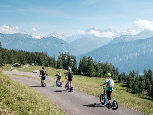 Die Familie geniesst die Fahrt mit dem Trotti-Bike am Niederhorn