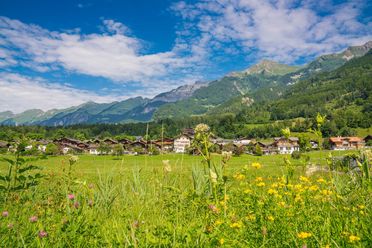 Inmitten einer herrlich grünen Wiesenlandschaft liegt das malerische Dorf Hofstetten