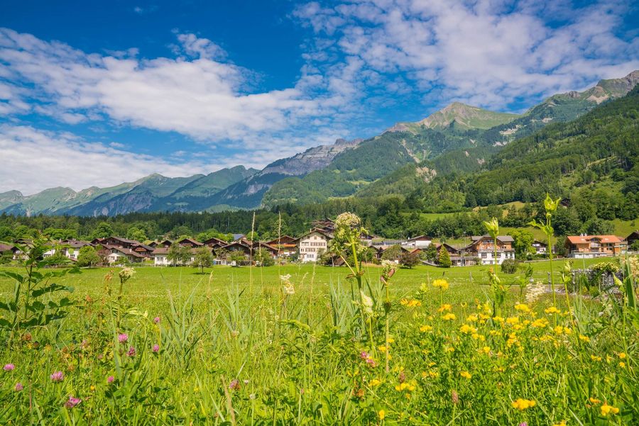 Inmitten einer herrlich grünen Wiesenlandschaft liegt das malerische Dorf Hofstetten