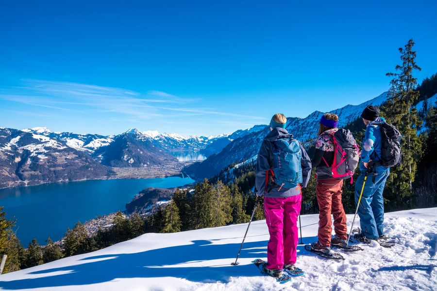 Drei Wanderer blicken beim Schneeschuhlaufen auf den blauen Thunersee