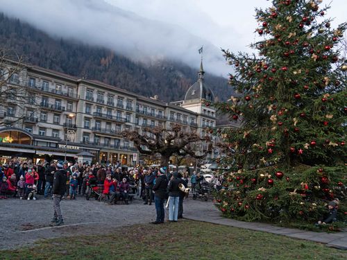 Gäste warten gespannt auf das einleuchten des Interlaken Tourismus Weihnachtsbaums auf der Höhematte