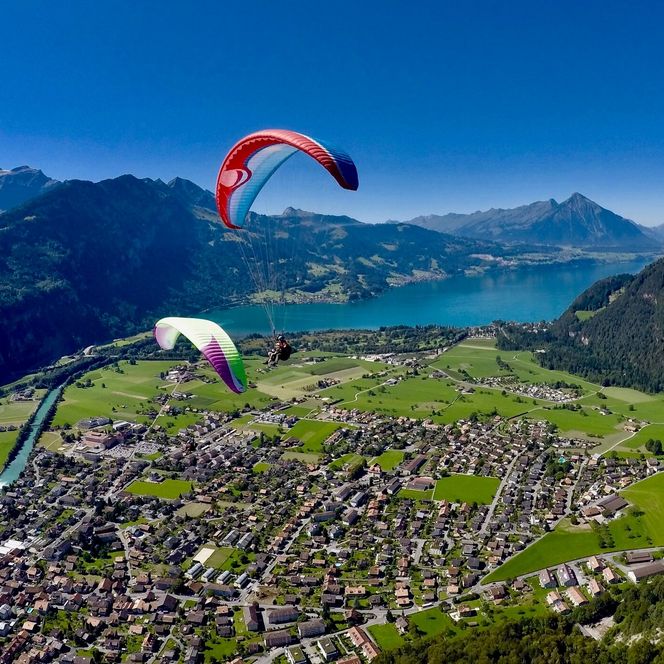 Paragliding über Interlaken umgeben von grünen Wiesen und Wäldern mit Blick auf den Thunersee