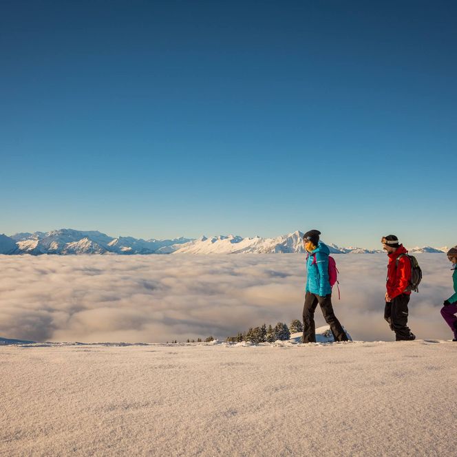 Drei Wanderer im Schnee auf dem Niederhorn mit Blick über das Nebelmeer zu den Bergen