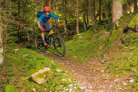 Biker fährt über einen Pfad im grünen Wald bei Beatenberg