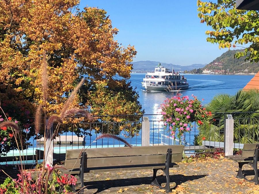 Ein Herbstausflug mit dem Schiff auf dem Thunersee führt vorbei am malerischen Dorf Merligen