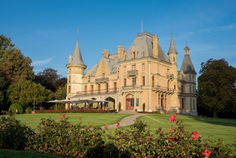 Schloss Schadau umgeben von einer grünen Wiese und Blumen im Schadaupark