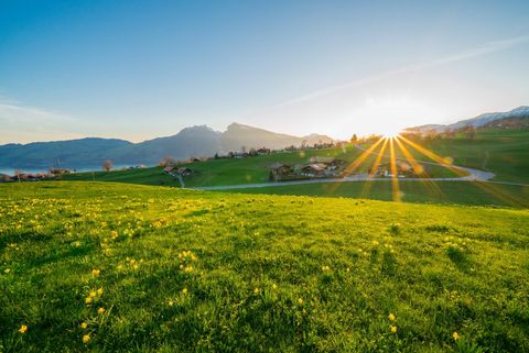 Grüne Wiese mit einer untergehenden Sonne in Aeschi