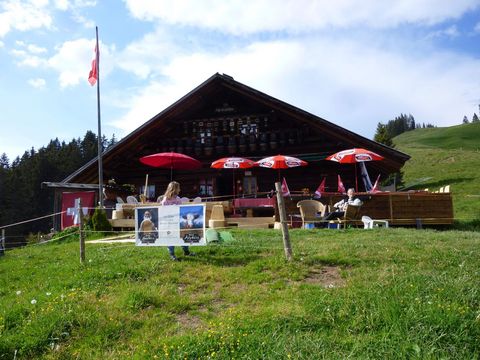 Alphütte auf der Alp Heubühlen im Sommer