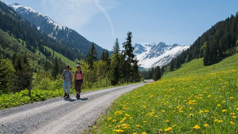 Zwei Frauen wandern auf einer Naturstrasse vorbei an gelben Bergblumen und durch Waldabschnitte