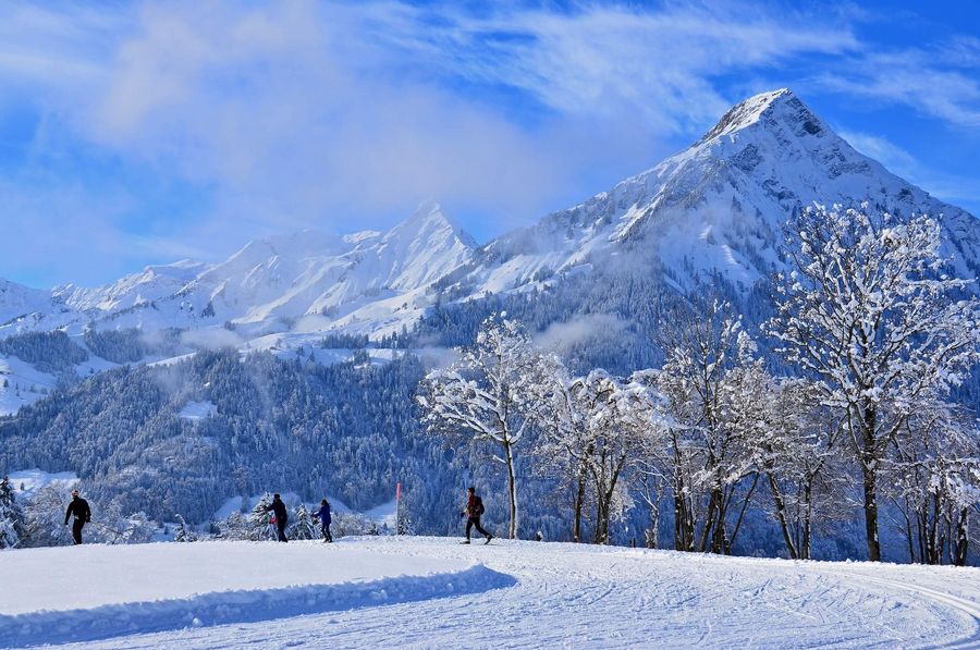 Blick von der Loipe auf den pyramidenförmigen Niesen und die verschneite Landschaft