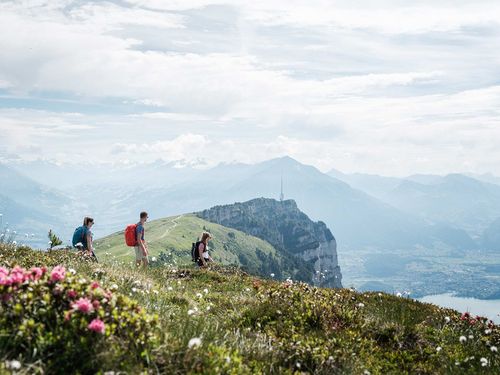 Wanderer unterwegs im Sommer auf dem Niederhorn. Im Hinergrund die Bergstation mit dem Sendetrum, der Thunersee und die Berner Alpen.