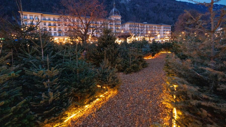 Vor dem nächtlich beleuchteten Hotel Victoria Jungfrau ist auf der Höhematte das Winterlaken Labyrinth aus Tannenbäumen aufgebaut und beleuchtet.