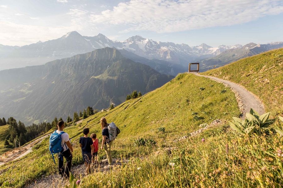 Familie auf dem Wanderweg Richtung Aussichtspunkt auf der Schynigen Platte