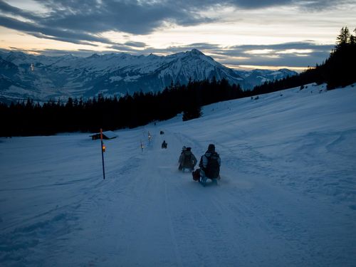 Sternenschlitteln in der Abendstimmung mit Panoramablick am Niederhorn
