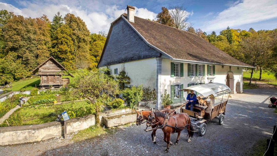 Pferdekutsche mit Wagen unterwegs im Freilichtmuseum Ballenberg