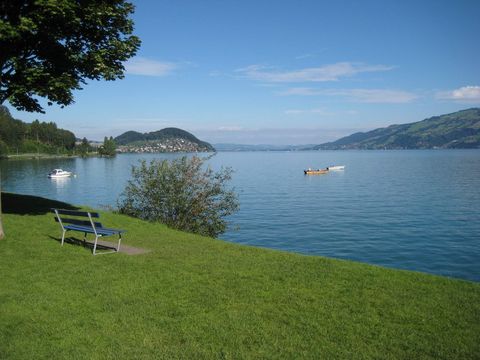 Grüne Wiese am blauen Thunersee im Seebad Lido in Krattigen