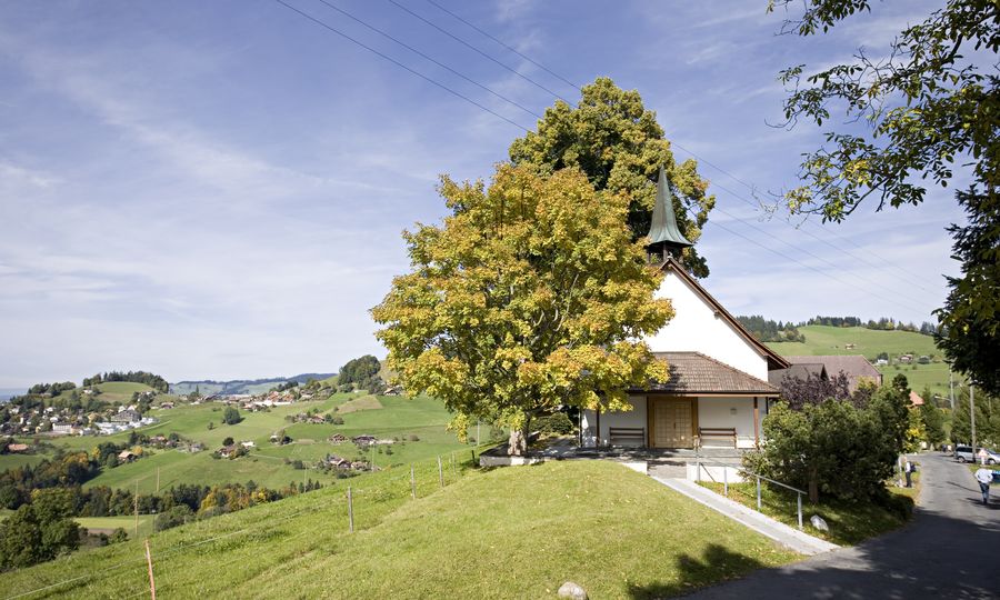 Kirche in Heiligenschwendi inmitten sommerlicher Naturlandschaft und idyllisch auf einem Hügel gelegen