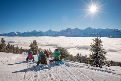 Schlittenfahren über dem Nebelmeer mit Blick auf die Berge und die Wintersonne
