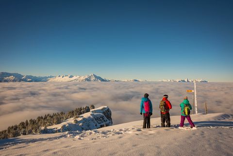 Drei Wanderer auf dem verschneiten Niederhorn mit Blick auf das Nebelmeer und die Berge