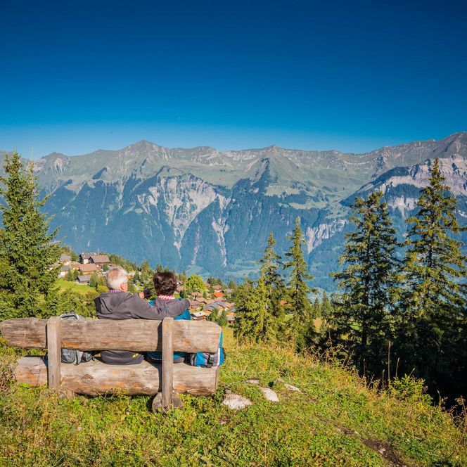 Aussicht auf die Brienzer Rothornkette von einer Holzbank auf der Axalp ob Brienz