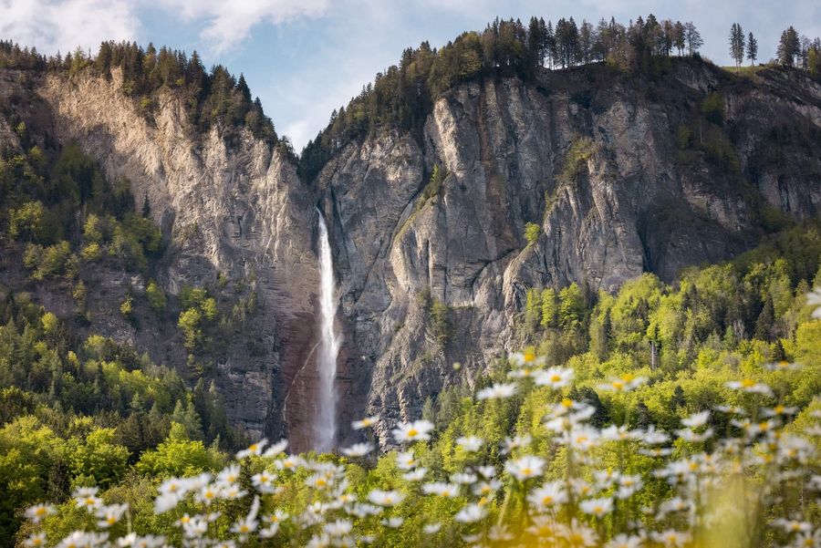 Milibachfall mit Blumen im Vordergrund