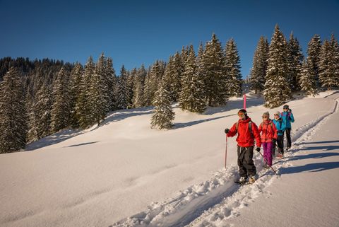 Schneeschuhwanderer unterwegs in der verschneiten Alplandschaft auf der Lombachalp