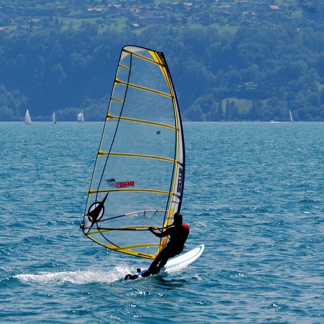 Windurfer unterwegs auf dem blauen Thunersee