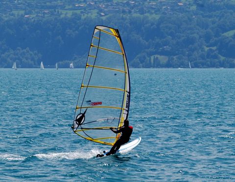 Windurfer unterwegs auf dem blauen Thunersee