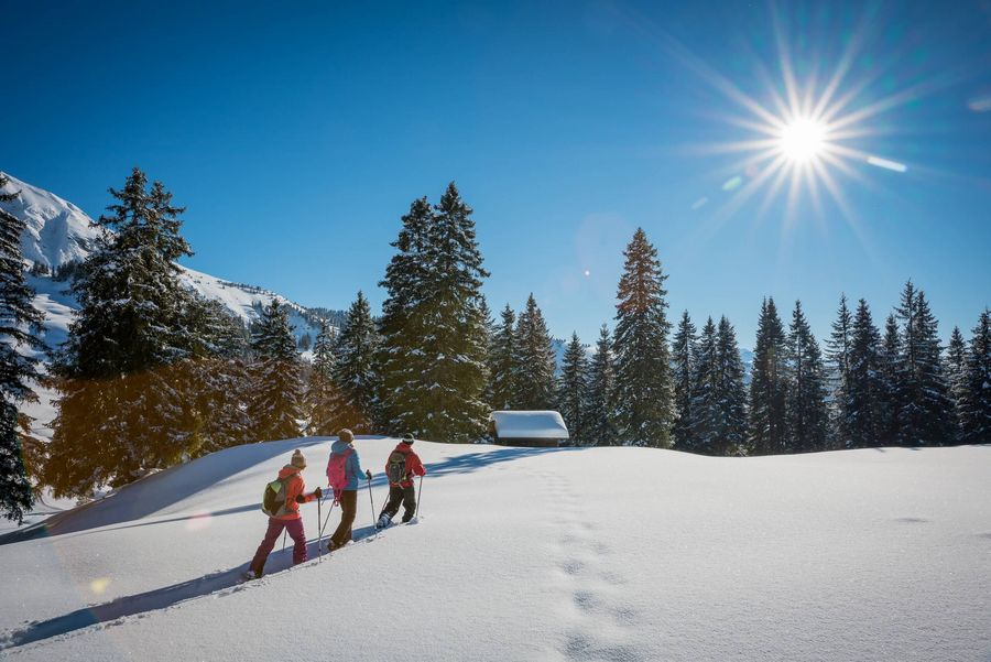 Schneeschuhläufer geniessen das prächtige Wetter und die tief verschneite Landschaft auf der Lombachalp