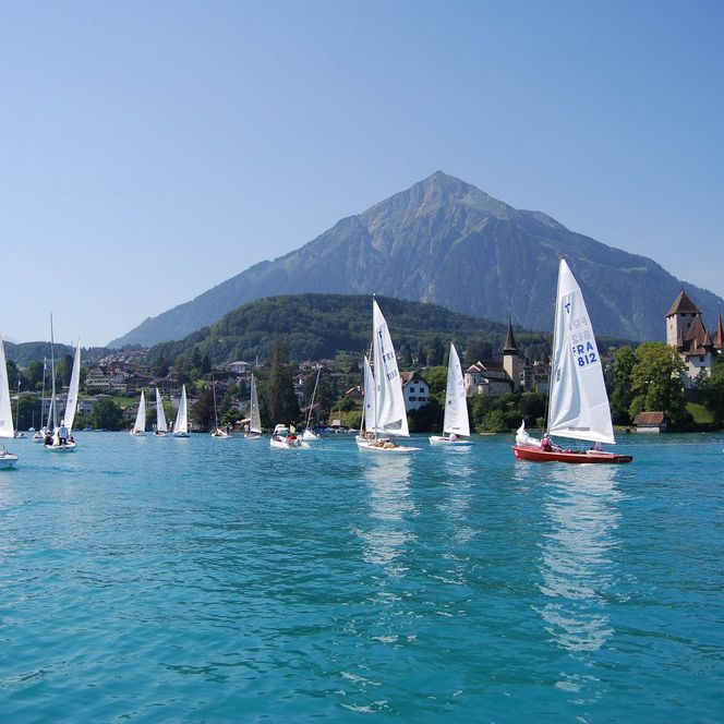 Weisse Segelboote auf dem blauen Thunersee vor dem pyramidenförmigen Niesen
