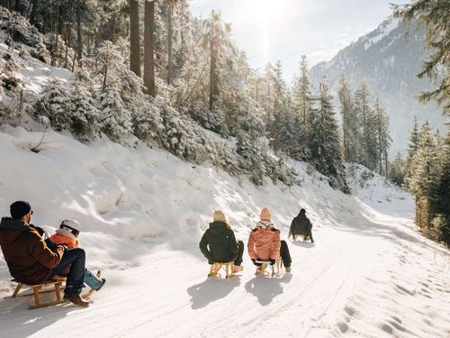 Eine Gruppe Schlittler unterwegs auf einem Waldweg am Wiriehorn