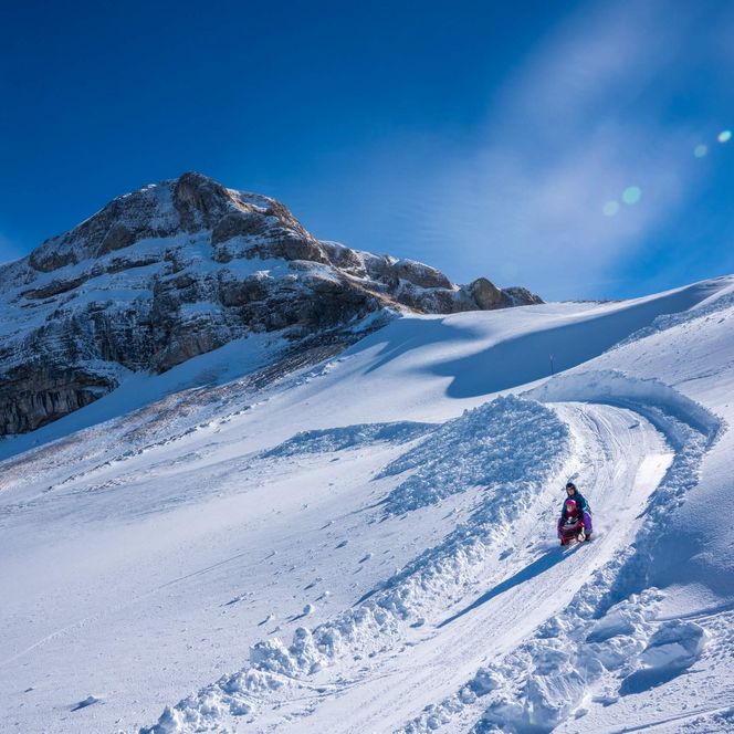 Schlittenfahren auf der verschneiten Axalp ob Brienz mit Blick auf die Berge