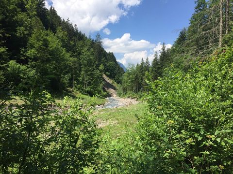 Suldtal mit grünen Büschen und Bäumen und einem Bach