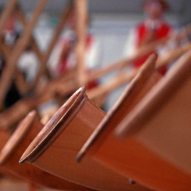 Schweizer Alphorn aus Holz in Interlaken