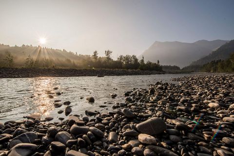 Goldenes Sonnenlicht glitzert auf der Wasseroberfläche der Aare und bescheint die steinigen Ufer im Stockental