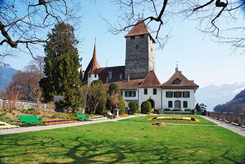 Schloss Spiez mit grüner Wiese und Ästen eines Baumes