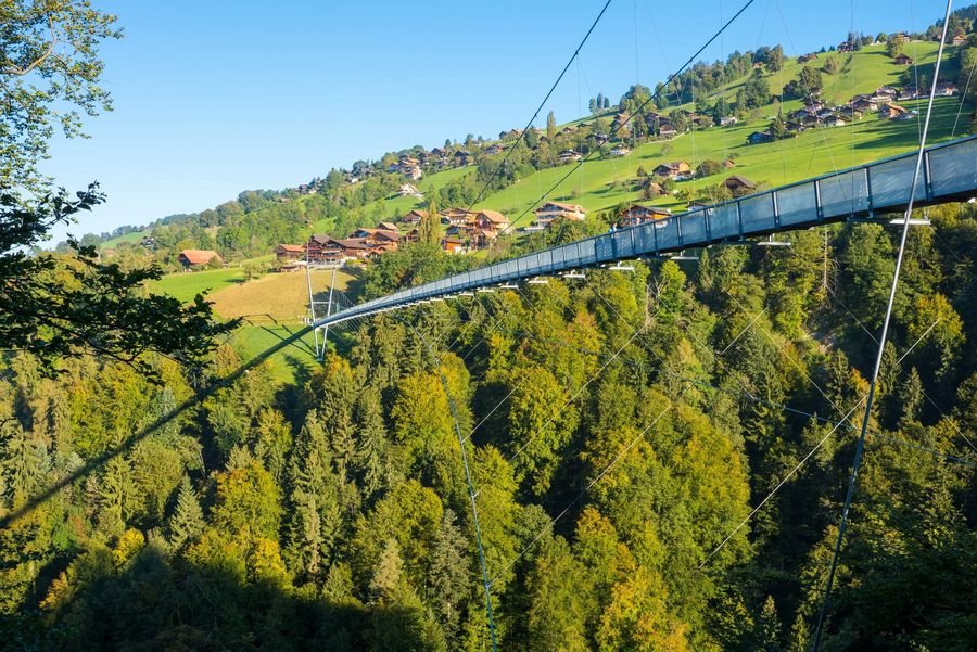 Spektakuläre Konstruktion spannt sich über Gummenschlucht zwischen Aeschlen und Sigriswil